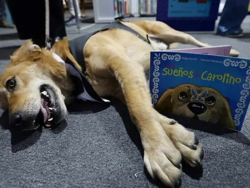 De callejero a símbolo: la historia de Carolino en la BUAP