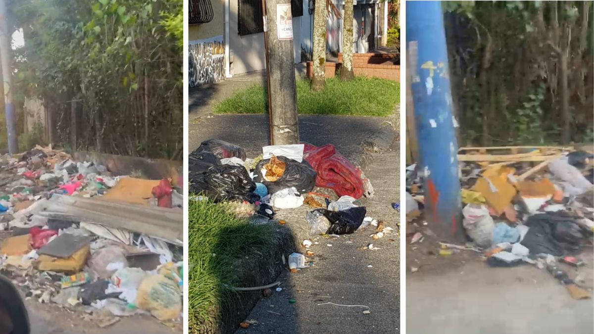 denuncia ciudadana avenida santander lombardia popular modelo y jardin en medio de la basura senores de atesa y eso que lo informaron hace 15 dias denuncia basuras atesa