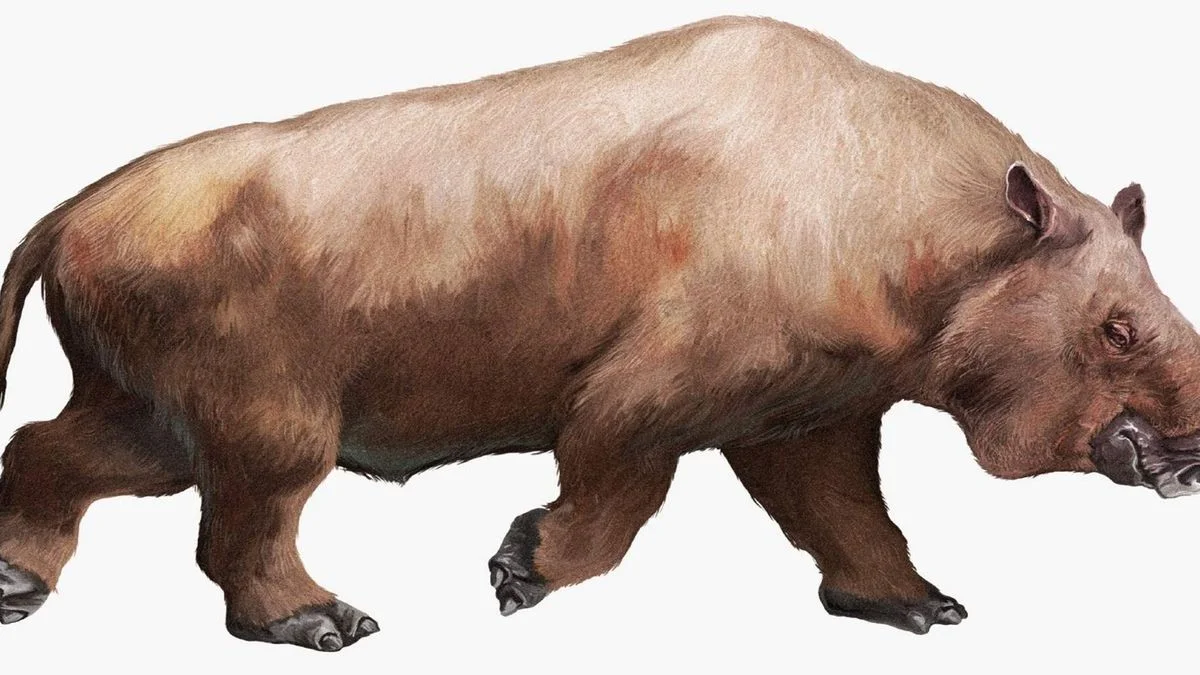 hallazgo historico revela nueva especie prehistorica en el huila toxodonte huila 1200x675 1