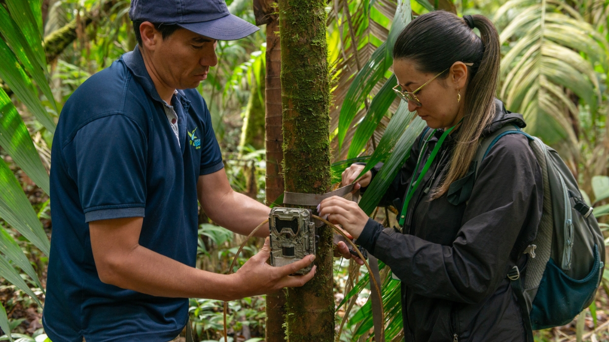 investigacion de la carder sobre la danta de montana es publicada en una revista cientifica internacional portadas clp web 2026 03 10t161334.932