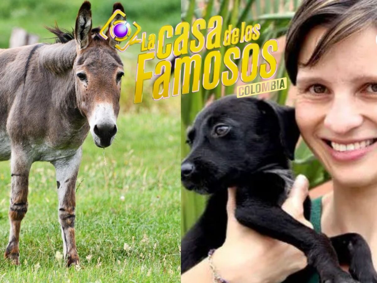 Nueva controversia en La casa de los famosos: cuestionan límites del entretenimiento en TV