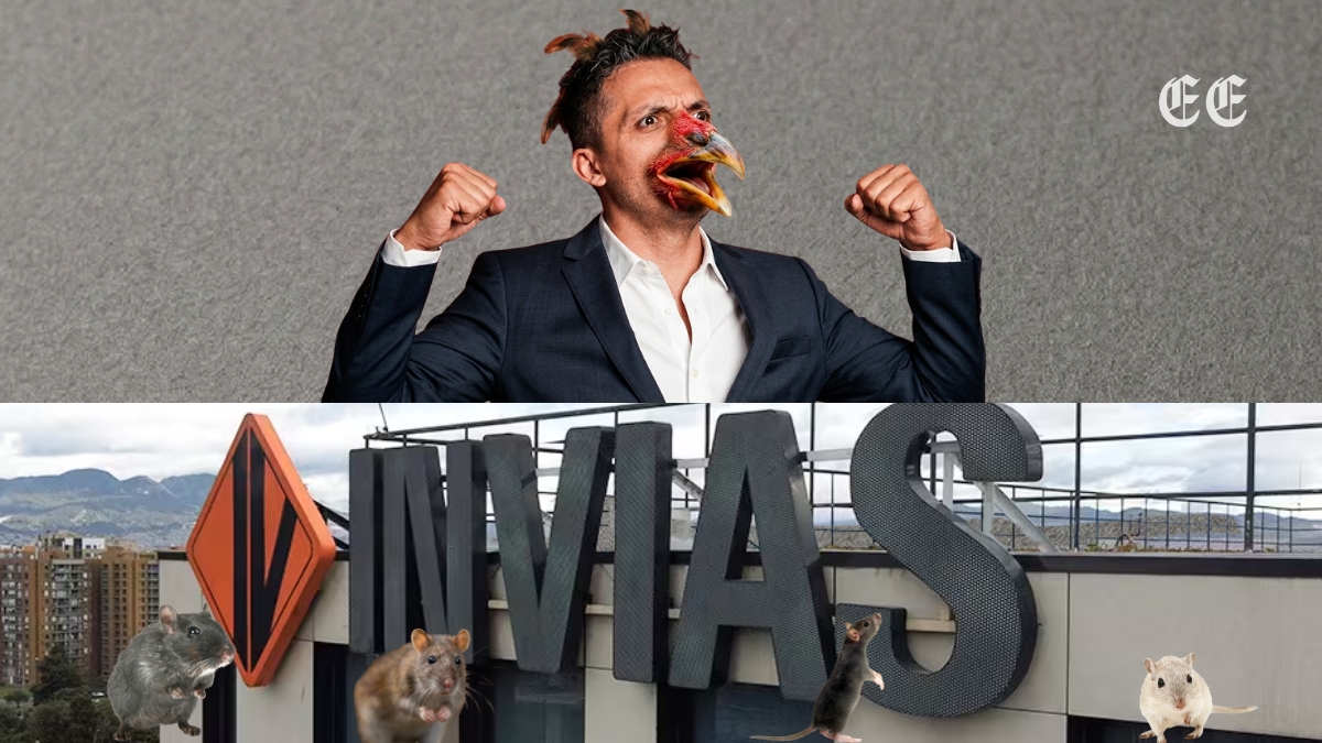 otro gallo cantara en invias portada columna awl gallo