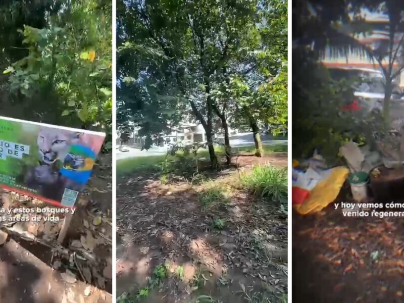 Parque de Belmonte avanza en proceso de recuperación ambiental