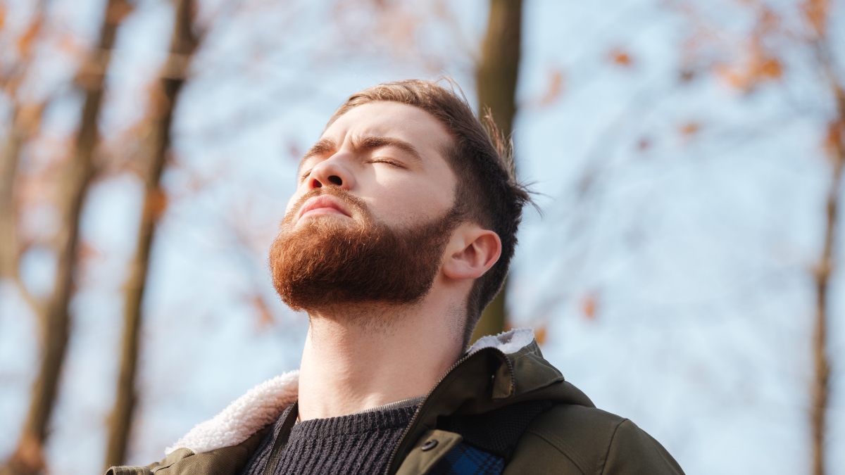 que es el ciclo nasal y por que una fosa nasal se tapa sin estar enfermo ciclo nasal