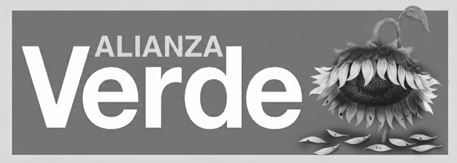 rodrigo toro un politico tradicional vestido de alternativo whatsapp image 2026 03 07 at 5.51.54 pm