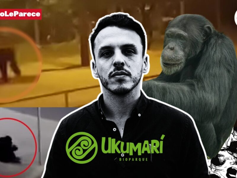 Señor gerente de Ukumarí es muy grave lo que dice de Yoko, ¿existen pruebas?