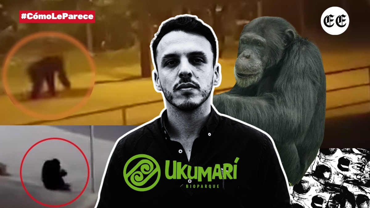 Señor gerente de Ukumarí es muy grave lo que dice de Yoko, ¿existen pruebas? 1 senor gerente de ukumari es muy grave lo que dice de yoko existen pruebas yoko clp 1603