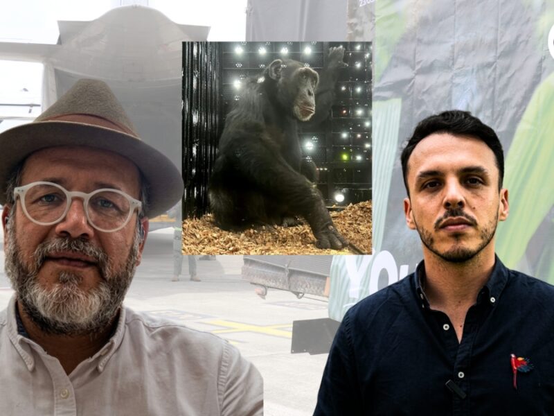 ¿Señor Raúl Murillo cuando muestra las pruebas de lo que dijo sobre Yoko o se va a retractar?