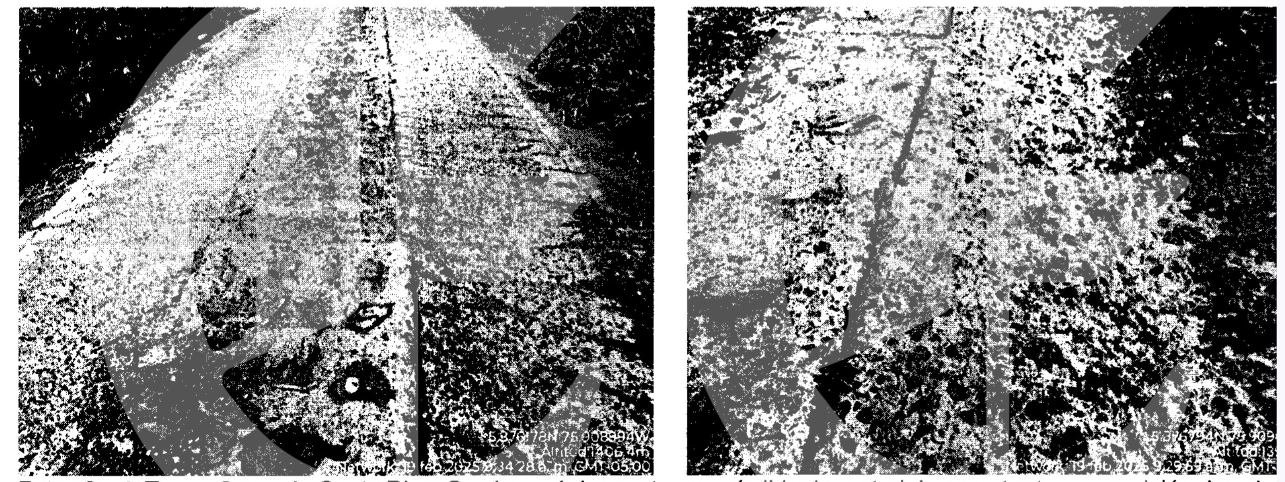 Así se perdieron los millonarios recursos para la paz en Mistrató 11 asi se perdieron los millonarios recursos para la paz en mistrato tr 1
