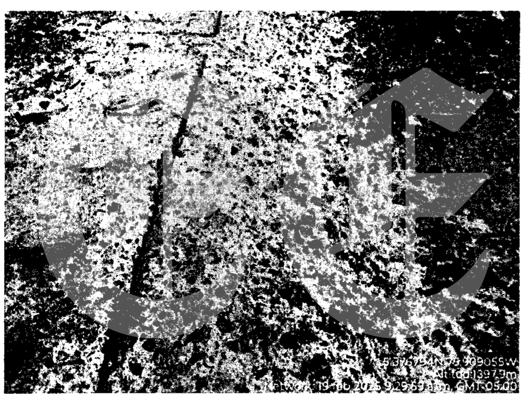 Así se perdieron los millonarios recursos para la paz en Mistrató 12 asi se perdieron los millonarios recursos para la paz en mistrato tr1
