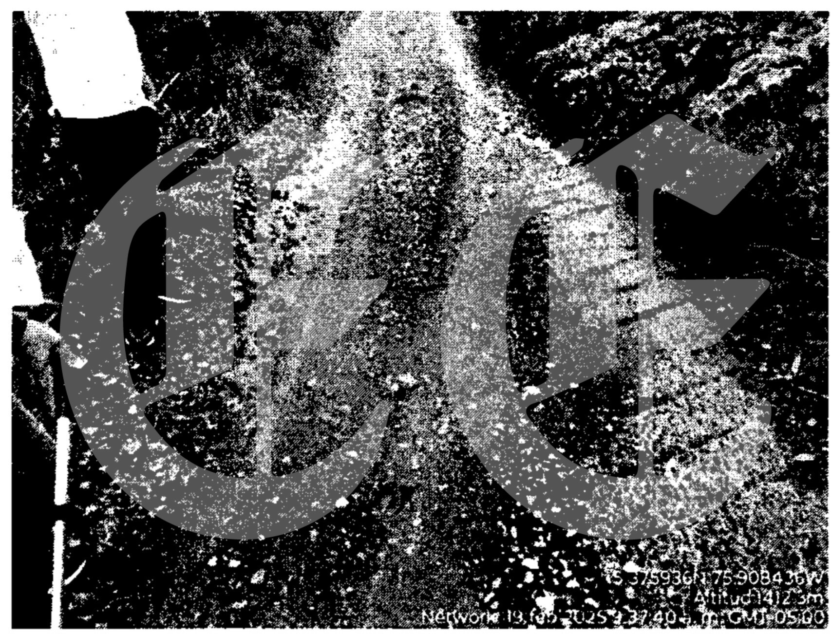 Así se perdieron los millonarios recursos para la paz en Mistrató 13 asi se perdieron los millonarios recursos para la paz en mistrato tr2