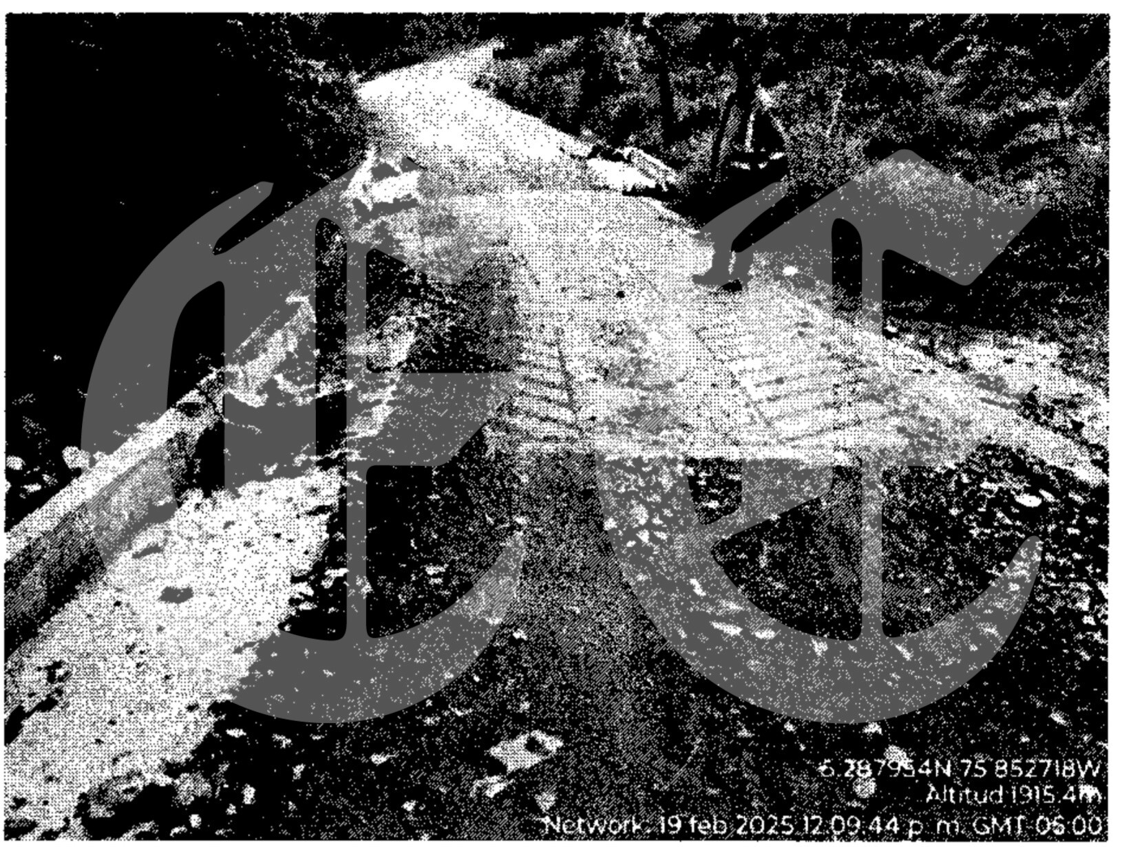 Así se perdieron los millonarios recursos para la paz en Mistrató 16 asi se perdieron los millonarios recursos para la paz en mistrato tr5