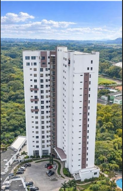 davivienda y su negocio con transito en la alcaldia de juan pablo gallo captura de pantalla 2026 04 20 174507