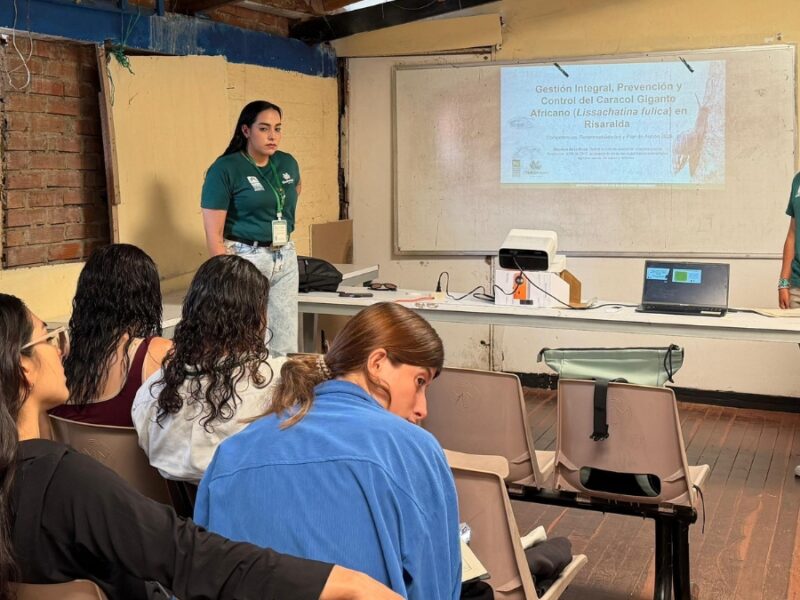 La CARDER continúa las acciones para el control del caracol gigante africano