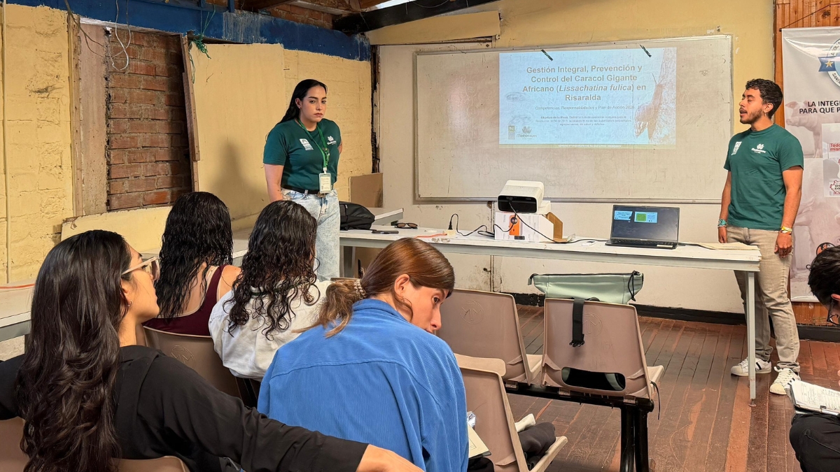 la autoridad ambiental derisaralda continua las acciones para el control del caracol gigante africano portadas clp web 2026 04 13t173253.225