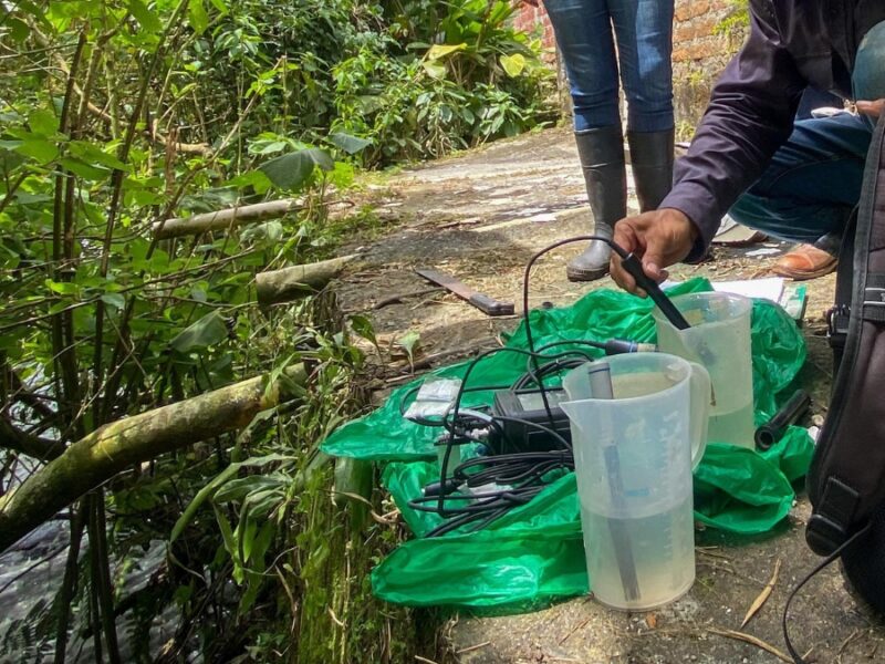 La CARDER aclara la situación que circula en redes sociales con los peces del río Otún