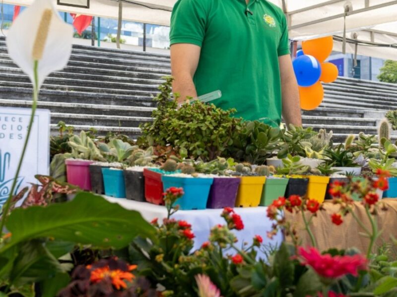 Pereira consolida su legado económico en Semana Santa 2026 con una derrama económica de $20.649 millones