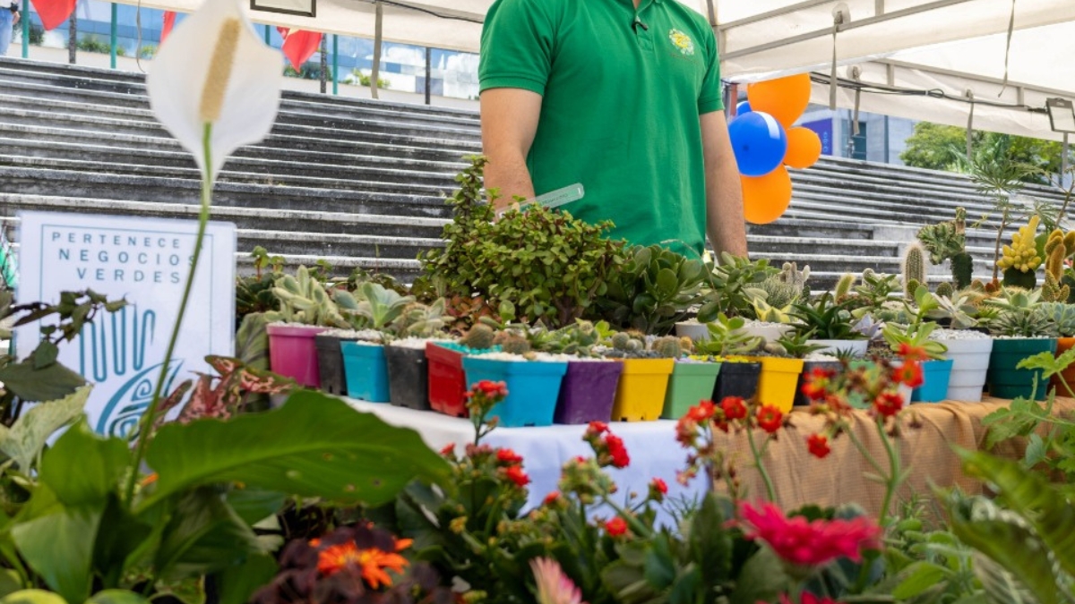 Pereira consolida su legado económico en Semana Santa 2026 con una derrama económica de $20.649 millones 1 pereira consolida su legado economico en semana santa 2026 con una derrama economica de 20 649 millones portadas clp web 2026 04 10t171308.684