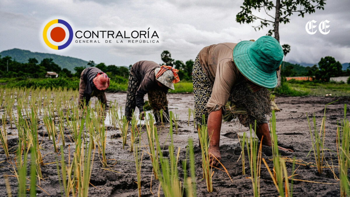 contraloria general advierte riesgos criticos en areas de produccion de alimentos contraloria agro
