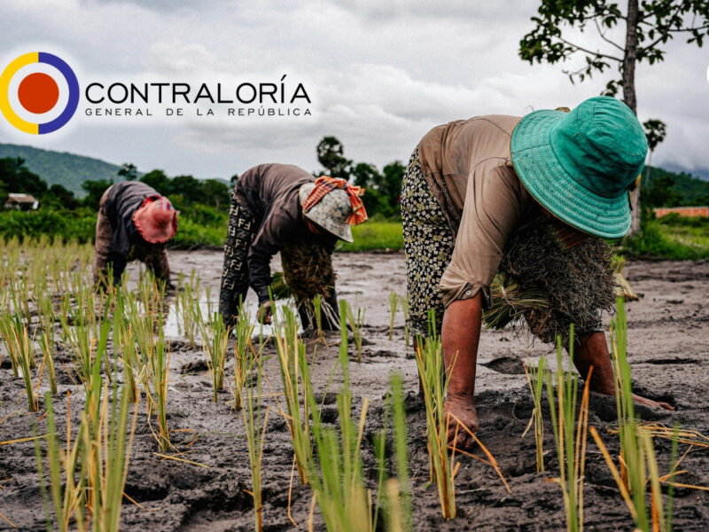 contraloria general advierte riesgos criticos en areas de produccion de alimentos contraloria agro