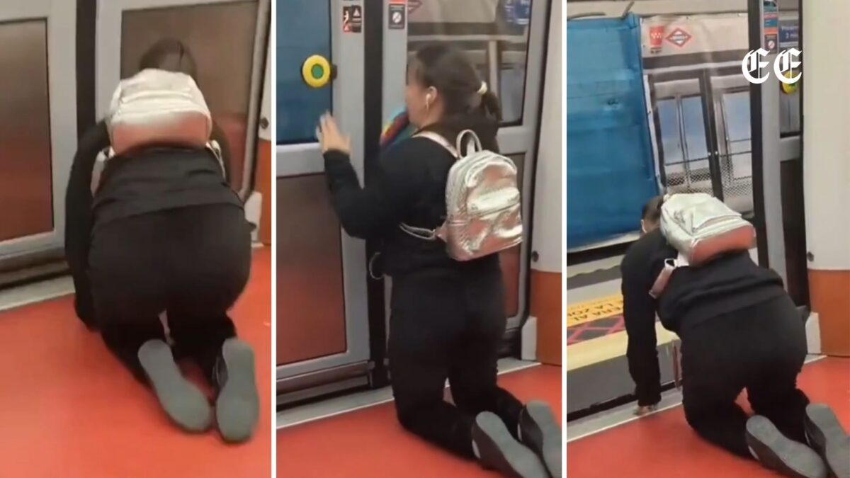 desconcierto en el metro de madrid luego que una usuaria actuara como un animal en pleno vagon tren de madrid mujer therian