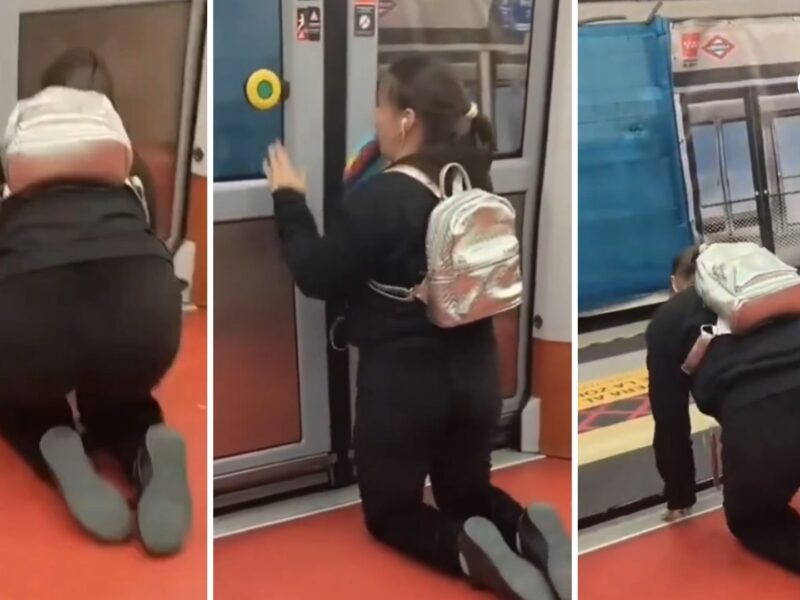 desconcierto en el metro de madrid luego que una usuaria actuara como un animal en pleno vagon tren de madrid mujer therian