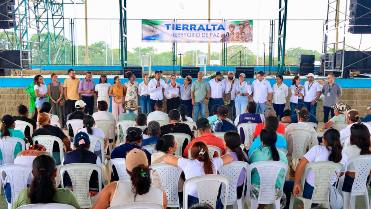 gobierno llega a acuerdos para el ingreso del clan del golfo a zonas de ubicacion temporal en cordoba y choco tierra alta cordoba choco zut