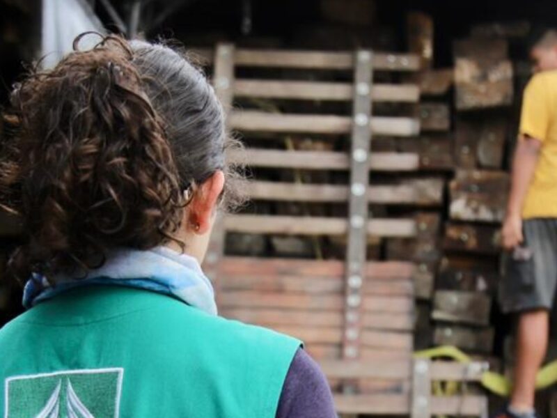 La CARDER participó del segundo operativo nacional de control de especies forestales convocado por MinAmbiente