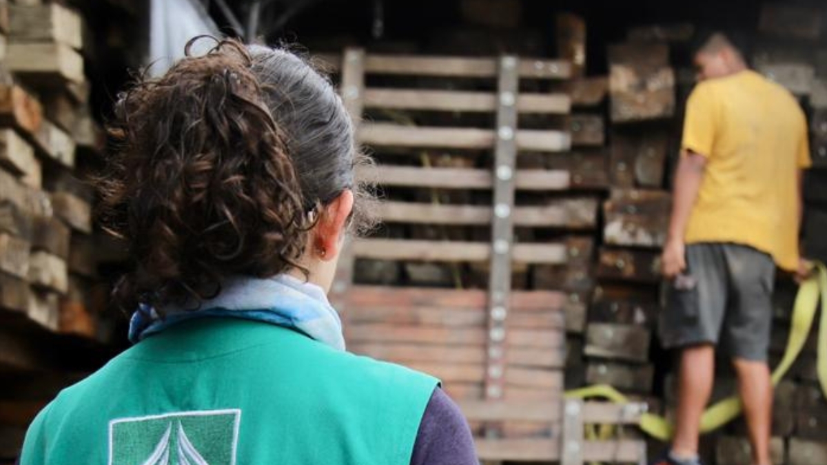 la carder participo del segundo operativo nacional de control de especies forestales convocado por minambiente portadas clp web 31