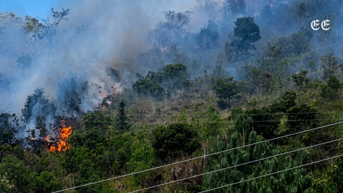 organismos de socorro logran el control total de un incendio forestal que afecto el paramo de santurban pagina web