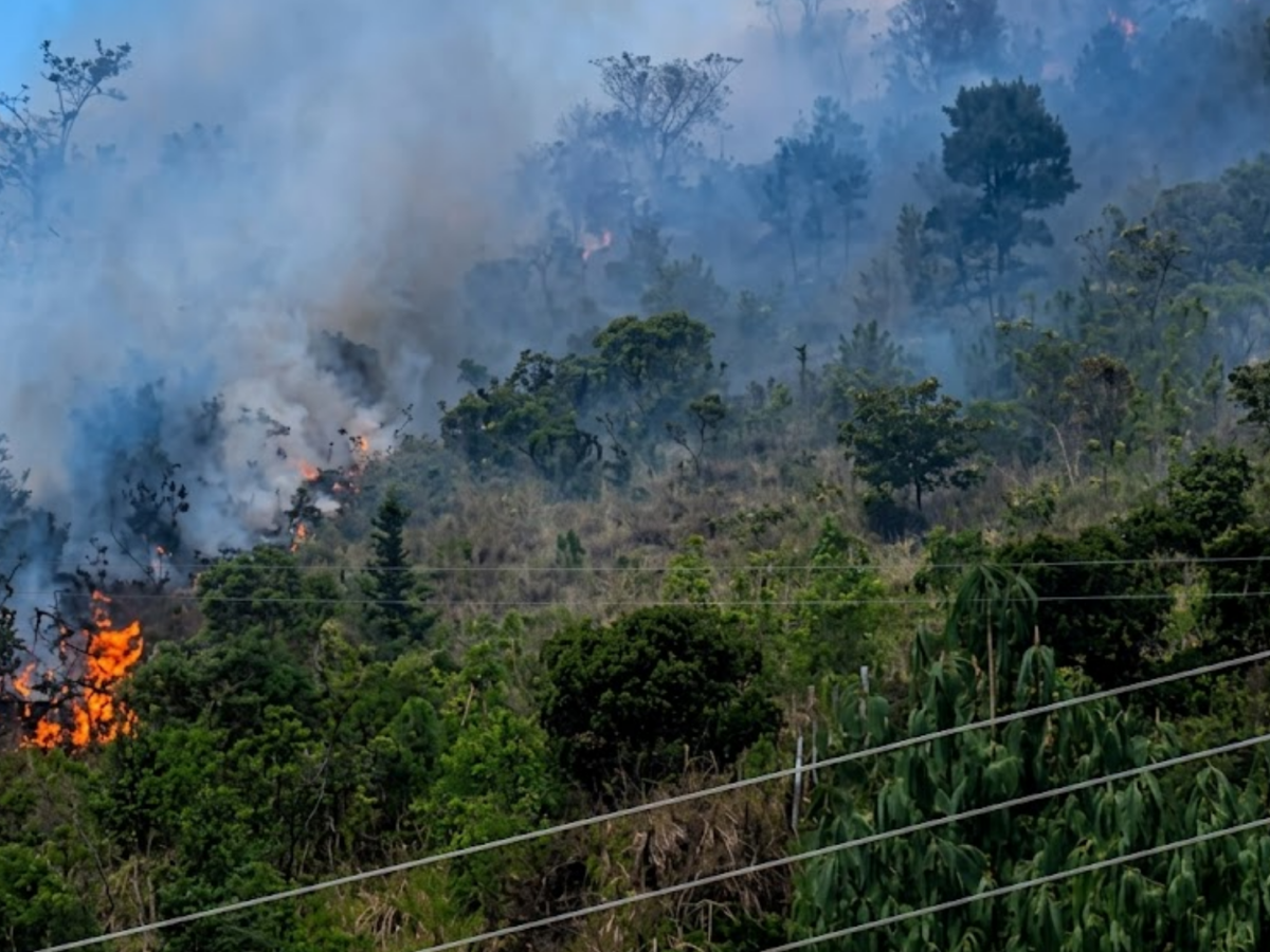 Organismos de socorro logran el control total de un incendio forestal que afectó el páramo de Santurbán