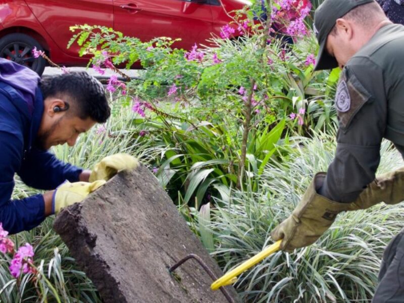 CARDER intensifica controles ambientales a prestadores de servicios de salud en Pereira