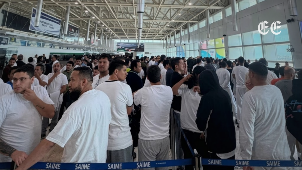 un total de 259 migrantes venezolanos regresan repatriados desde estados unidos en un nuevo vuelo gubernamental pagina web