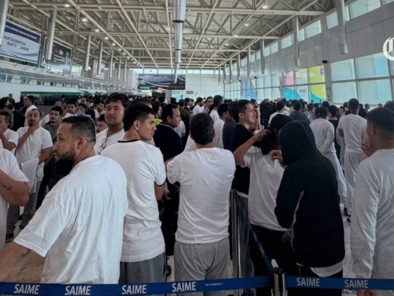 un total de 259 migrantes venezolanos regresan repatriados desde estados unidos en un nuevo vuelo gubernamental pagina web
