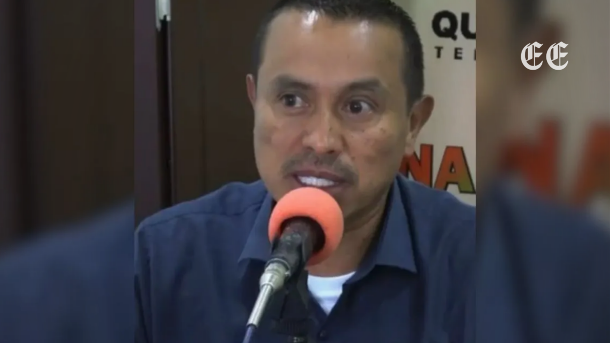 alcalde de quinchia descarta sanciones a quienes alimenten perros callejeros tras fuerte rechazo social pagina web