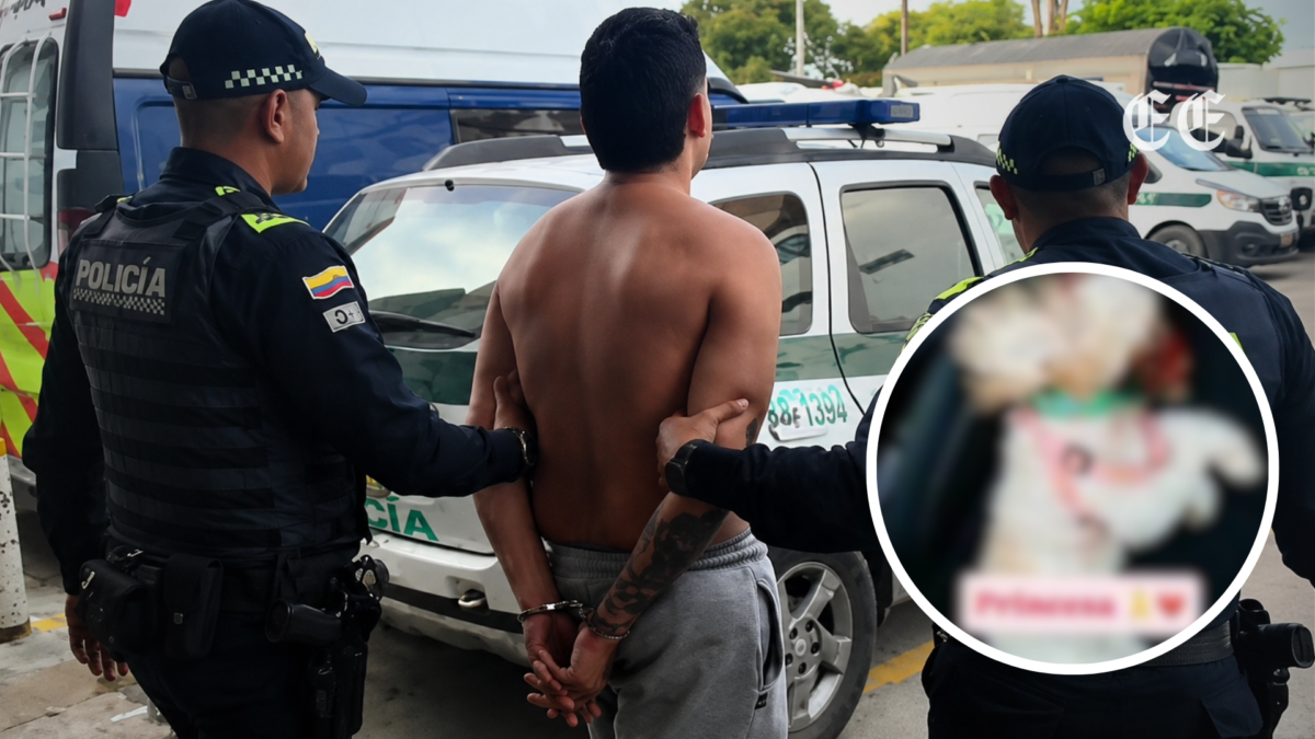 fallo judicial envía a prisión a agresor de la perrita Princesa en Risaralda 1 fallo judicial envia a prision a agresor de la perrita princesa en risaralda pagina web 1