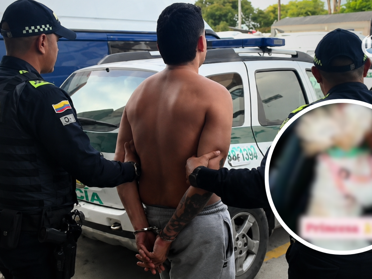 fallo judicial envía a prisión a agresor de la perrita Princesa en Risaralda
