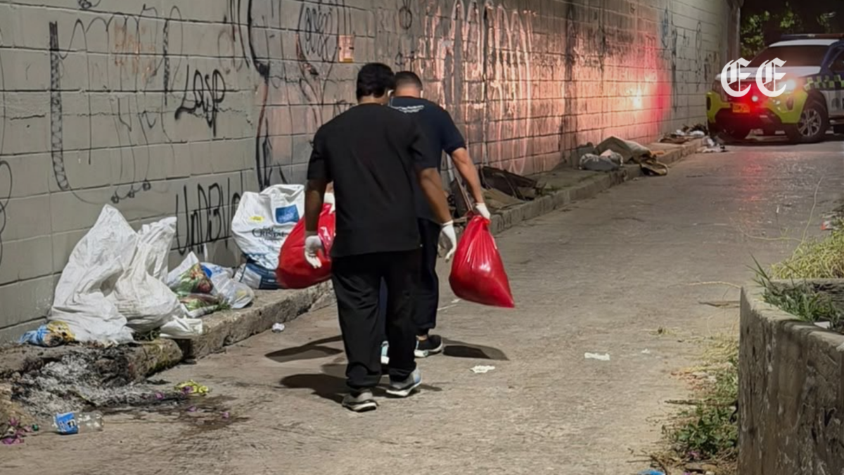 Hallan dos perros incinerados en vía pública del barrio El Silencio en Barranquilla 1 hallan dos perros incinerados en via publica del barrio el silencio en barranquilla pagina web