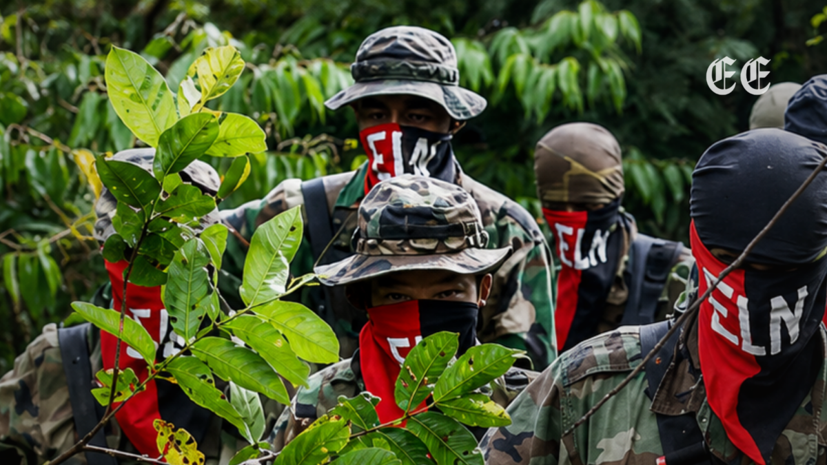 incursion armada del eln en lopez de micay deja ocho comuneros secuestrados y terror colectivo pagina web
