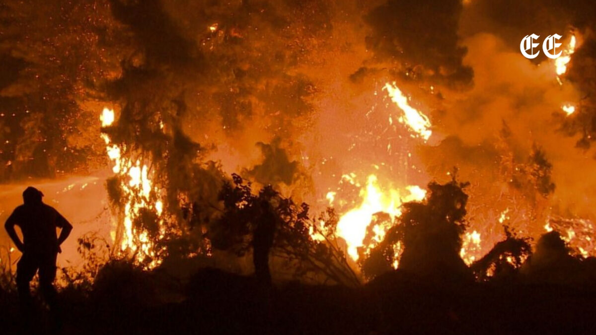 la ola de incendios en el sur de europa arrasa 25 000 hectareas forestales incendios europa
