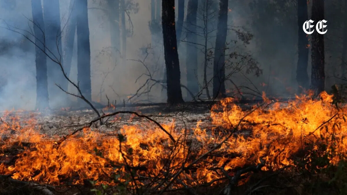 la voraz ola de incendios en espana y francia obliga a evacuar a casi 270 000 personas incendios europa ee