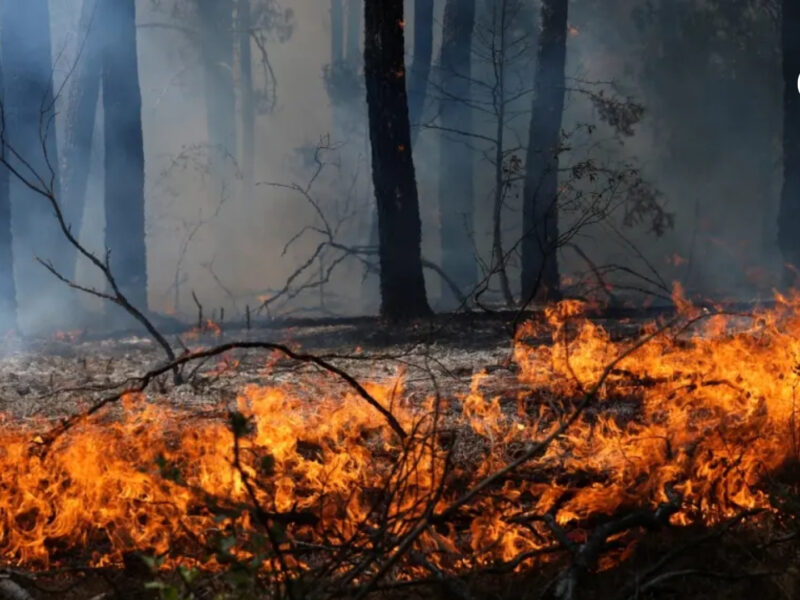 la voraz ola de incendios en espana y francia obliga a evacuar a casi 270 000 personas incendios europa ee