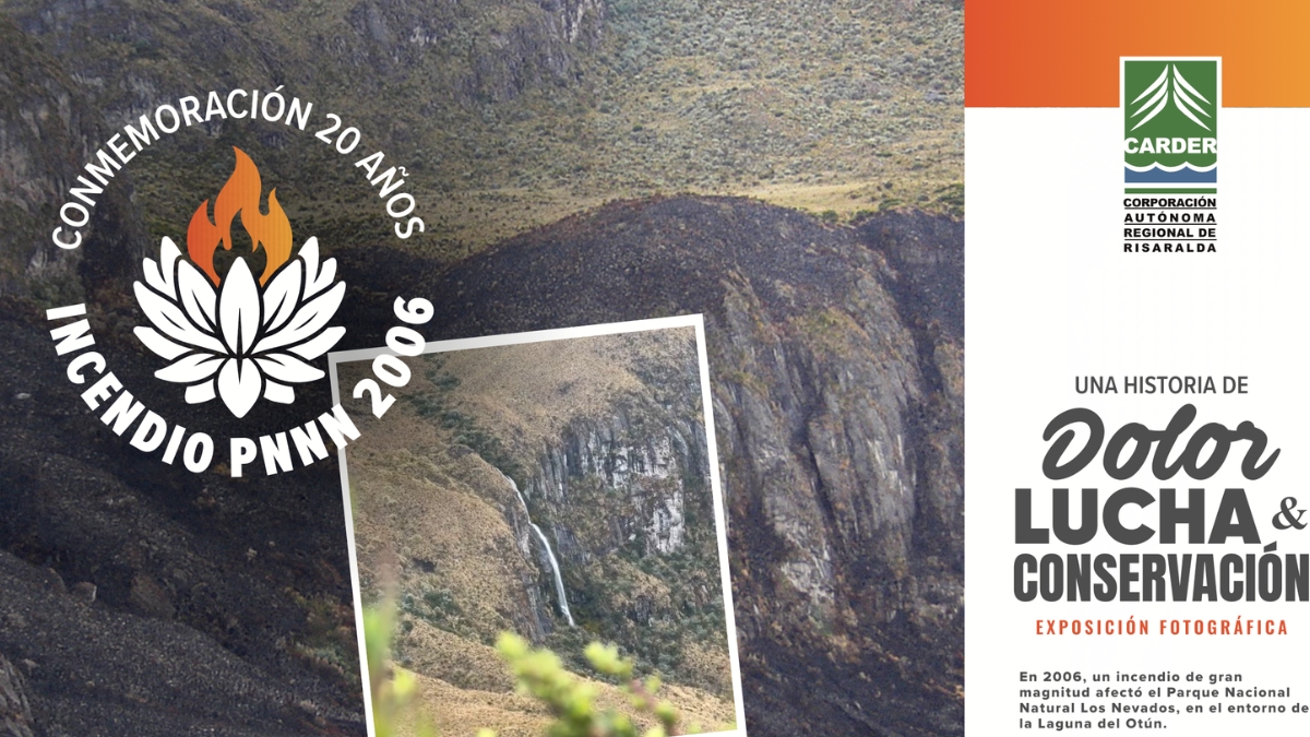 Las huellas del fuego: veinte años del incendio que cambió para siempre el páramo de Los Nevados 1 las huellas del fuego veinte anos del incendio que cambio para siempre el paramo de los nevados portadas clp web 2026 07 06t154533.991