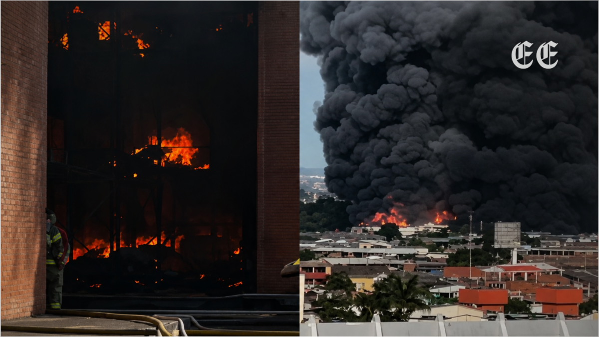 organismos de socorro controlan tres incendios simultaneos que encendieron las alarmas en cali pagina web