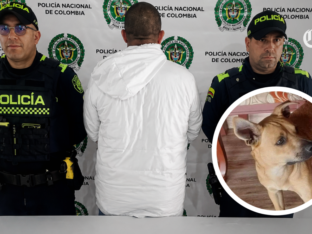 Hombre atenta con la vida de un perro rescatado en Manizales, su dueño resultó herido