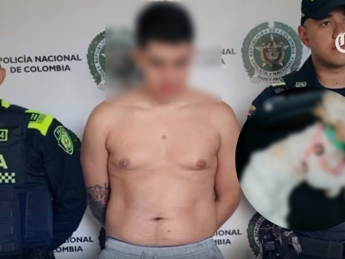 Hombre es detenido en Dosquebradas tras arrojar a la mascota de su pareja de un octavo piso