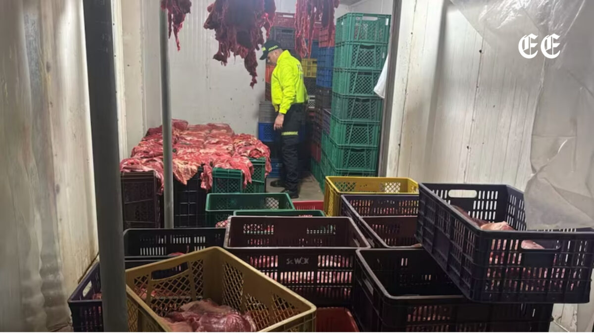 policia desmantela red dedicada al trafico ilegal de carne de caballo en bucaramanga carne de caballo