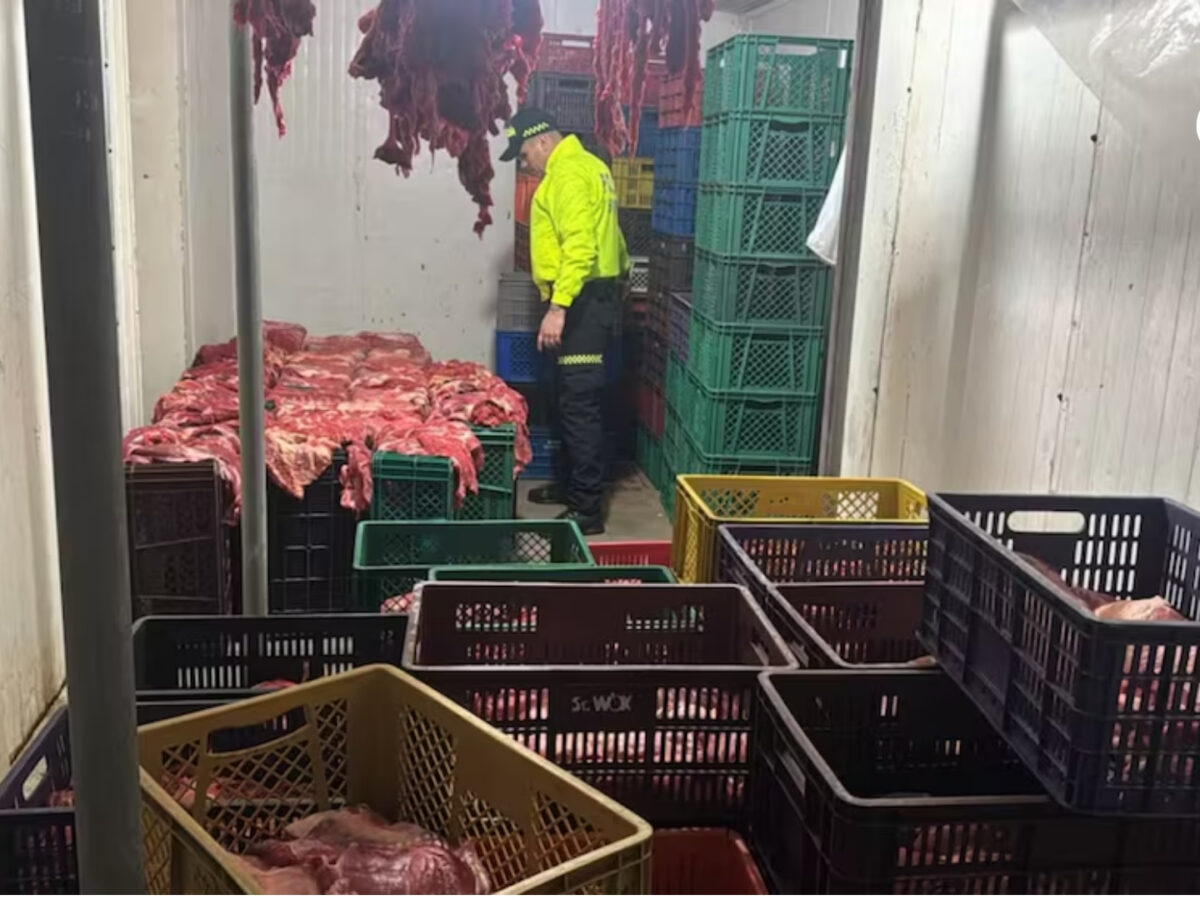 Desmantelan red dedicada al tráfico ilegal de carne de caballo en Bucaramanga