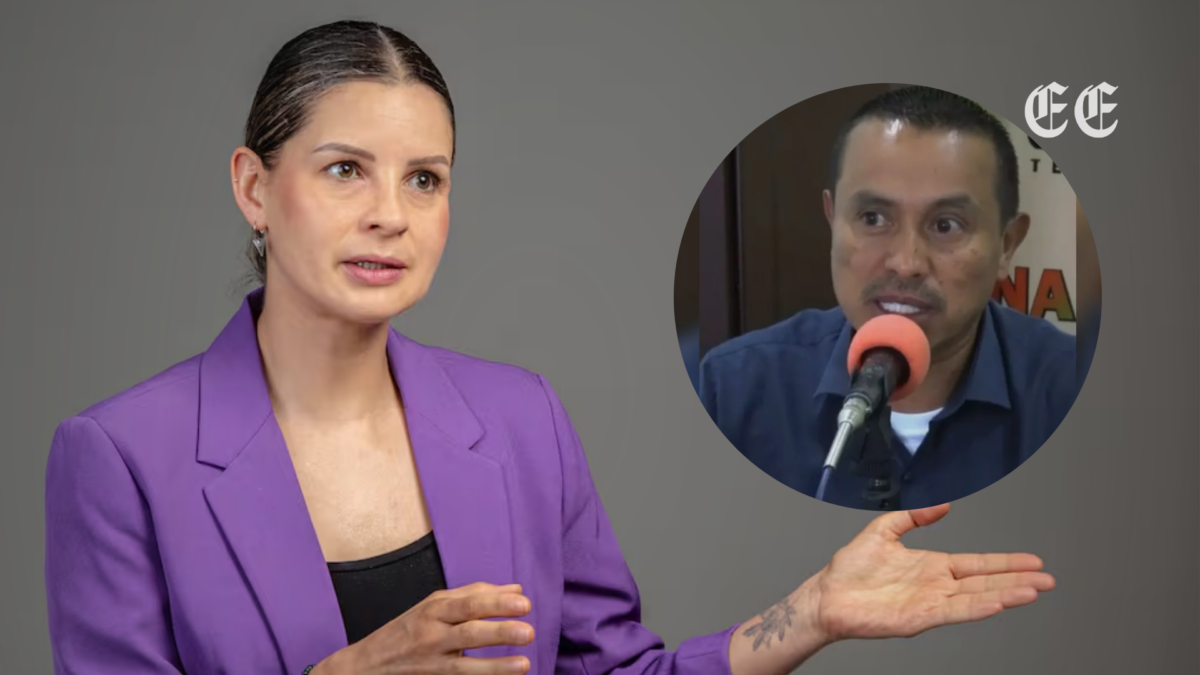senadora andrea padilla arremete contra el alcalde de quinchia por intentar multar la solidaridad con los animales pagina web