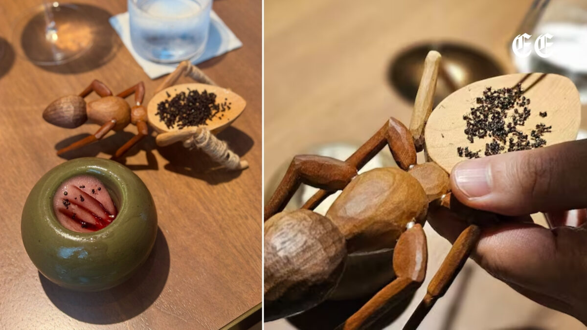 un chef michelin podria ir a prision por servir hormigas en sus postres en corea del sur hormigas en un postres redes sociales
